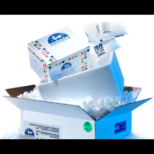 [FA3001]  IFA AMA Test System 10 x 8 wells - 10 x 8 wells